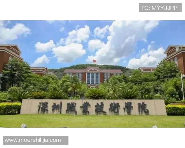 深圳篮球队灵活性创新高引发关注成就新里程碑