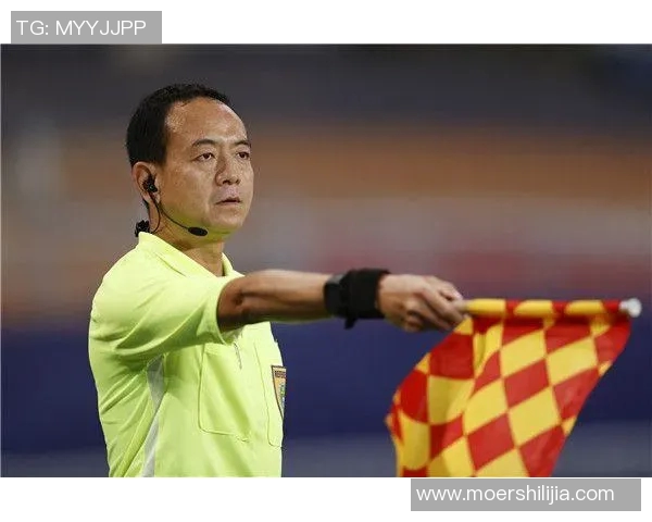 与李丽畅谈羽毛球生涯的点滴与成长之路