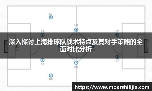 深入探讨上海排球队战术特点及其对手策略的全面对比分析